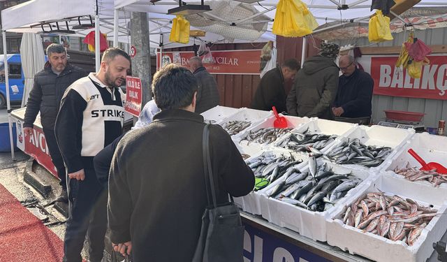 ZONGULDAK'TA HAMSİ ÇOK PALAMUT YOK