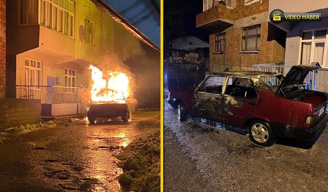 PARK HALİNDE ALEVLERE TESLİM OLDU