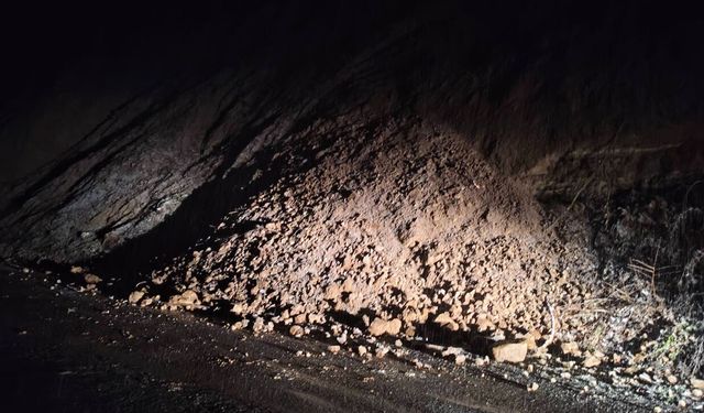 ÇAYCUMA'DA HEYELAN TRAFİK AKIŞINI DURDURDU