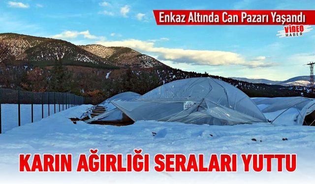 KARIN AĞIRLIĞIYLA ÇÖKEN SERADA CAN PAZARI YAŞANDI