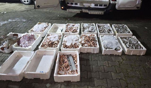 KASTAMONU'DA YASA DIŞI AVLANAN BALIKLARA EL KONULDU