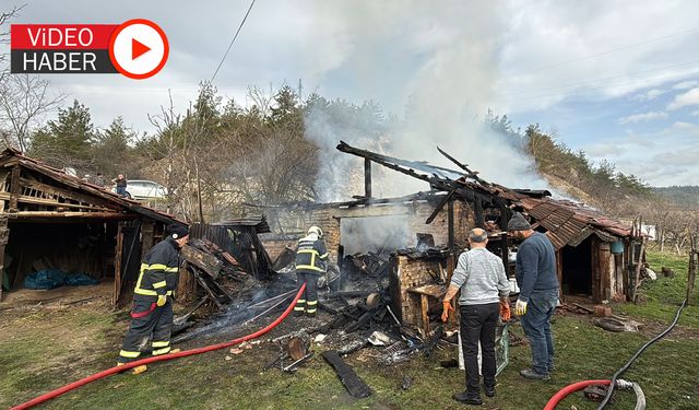 AHIR YANGINI: İKİ KÖPEK TELEF OLDU