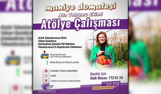 SAFRANBOLU'DA MANİYE DOMATESİ ATA TOHUMU EKİMİ