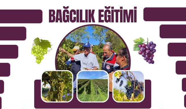 PROF. DR. HASAN ÇELİK SAFRANBOLU'DA ÇİFTÇİLERLE BULUŞACAK