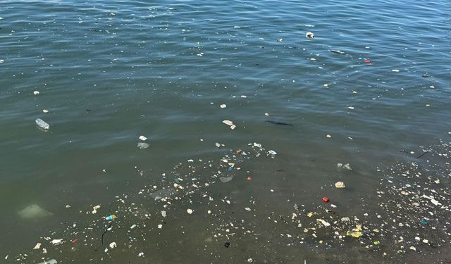 ZONGULDAK'TA SAHİLDE ÇÖP TEPKİSİ