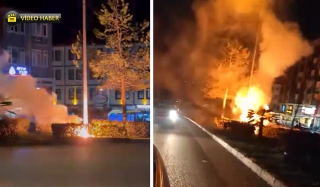 AYDINLATMA DİREĞİNDE YANGIN ÇIKTI