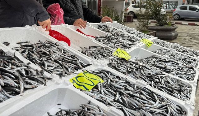 ZONGULDAK'TA SEVGİLİLER GÜNÜ KAMPANYASI: HAMSİNİN KİLOSU 100 TL