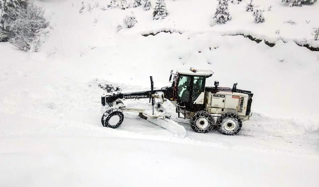 BARTIN'DA KAÇAK AVCI FOTOKAPANA YAKALANDI