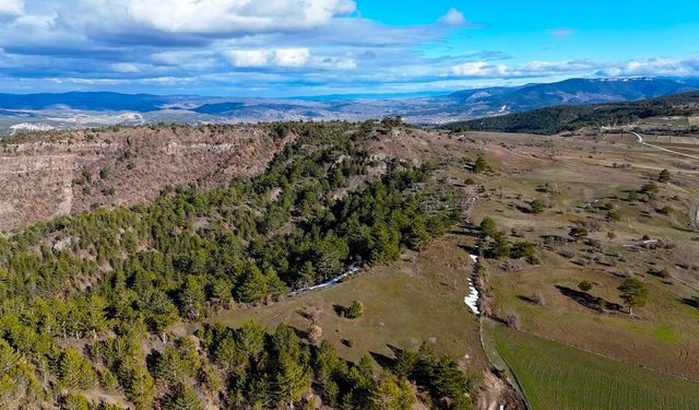 KASTAMONU'DA KARLAR ERİDİ YAYLALAR YEŞİLE BÜRÜNMEYE BAŞLADI
