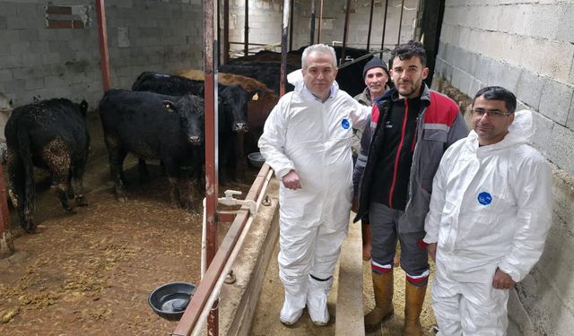 KIRSALDA BEREKET PROJESİ İLE HAYVANCILIĞA GÜÇLÜ DESTEK