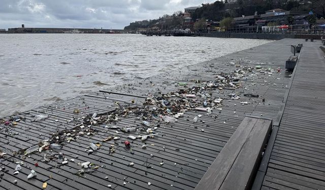 PLASTİK ATIKLAR SAHİLE VURDU