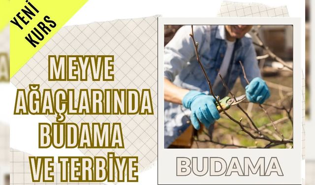 SAFRANBOLU’DA BUDAMA KURSU TARİHİ GÜNCELLENDİ