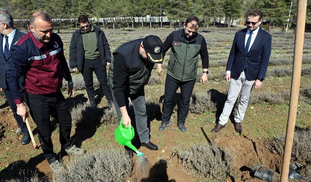 BEŞTEPELER'DE FİDANLAR GELECEK İÇİN TOPRAKLA BULUŞTU