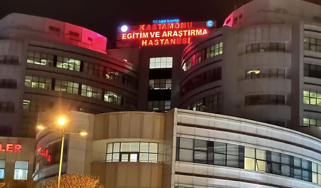 KASTAMONU'DA BİR BABA OĞLUNU AV TÜFEĞİYLE ÖLDÜRDÜ
