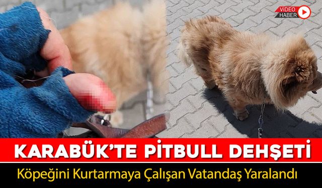 KARABÜK'TE PİTBULL DEHŞETİ
