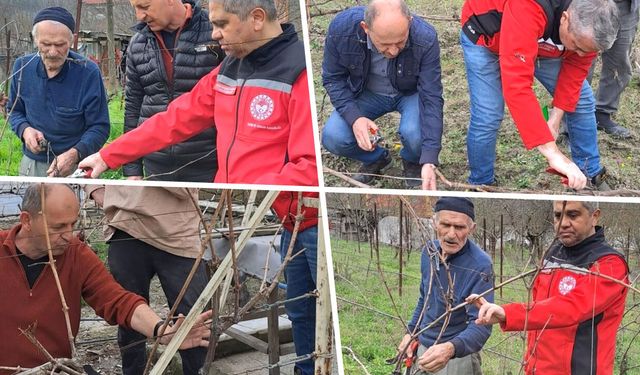SAFRANBOLU'DA BAĞ ÜRETİCİLERİNE YERİNDE EĞİTİM VERİLDİ