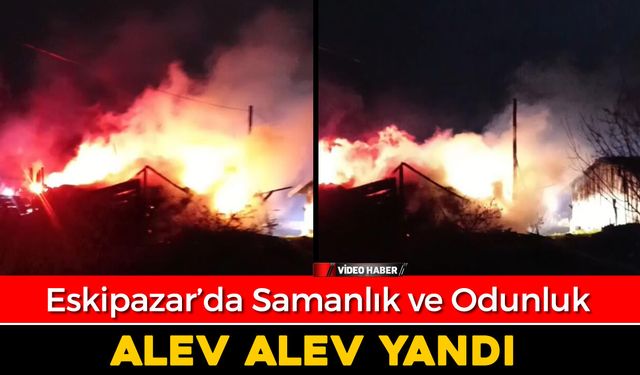 ESKİPAZAR'DA SAMANLIK VE ODUNLUK YANGINI