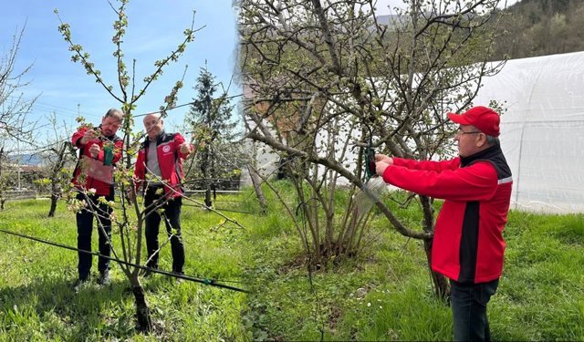 SAFRANBOLU’DA KAHVERENGİ KOKARCA İLE MÜCADELE SÜRÜYOR