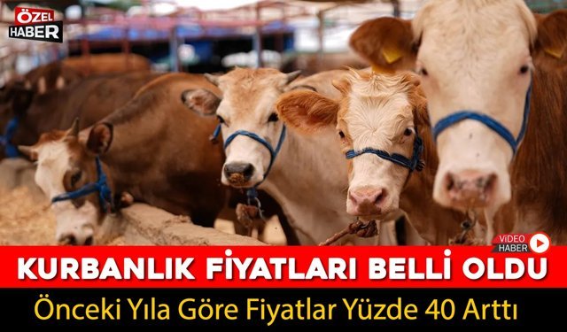 KARABÜK’TE KURBANLIK FİYATLARI BELLİ OLDU