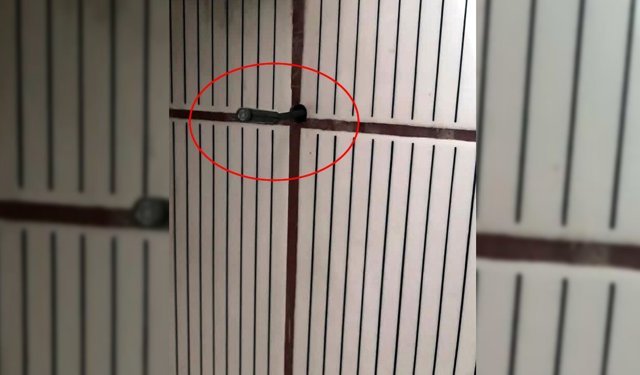 ZONGULDAK'TA SAPKIN EV SAHİBİ TUTUKLANDI