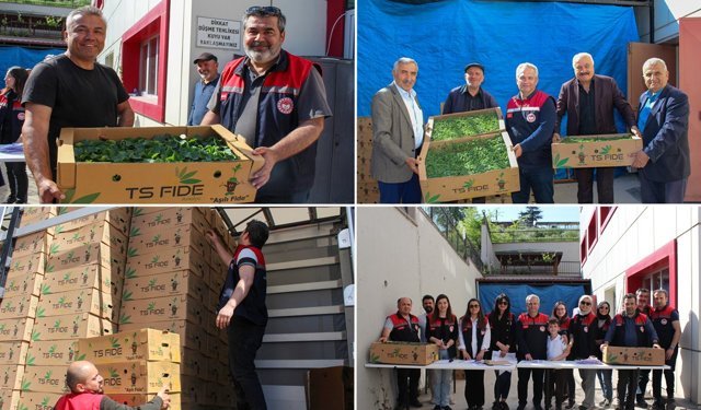 KARABÜK'TE ÇİFTÇİLERE 135 BİN ADET FİDE