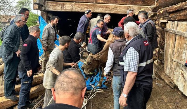 TAŞKÖPRÜ'DE AHIR GÖÇTÜ: BİR KİŞİ HAYATINI KAYBETTİ