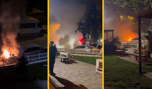 PARK HALİNDEKİ ARAÇ ALEV ALDI