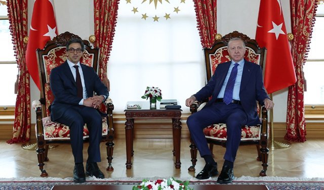 CUMHURBAŞKANI ERDOĞAN ŞEYH MANSUR BİN ZAYİD AL NAHYAN İLE GÖRÜŞTÜ