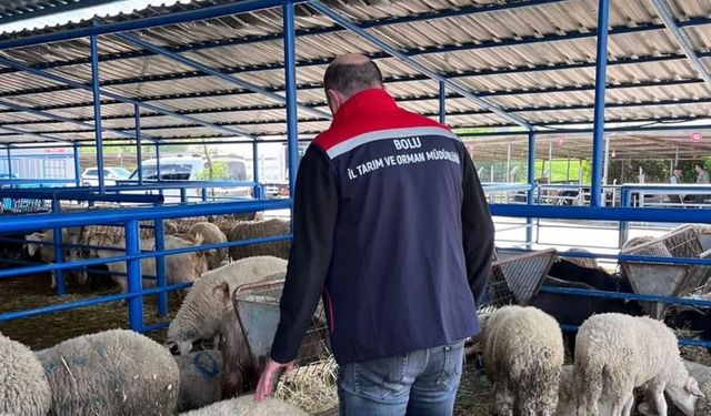 BOLU'DA KURBAN PAZARLARI DENETLENDİ