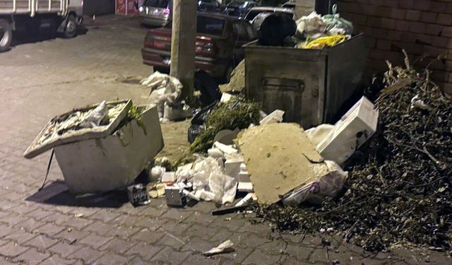 ZONGULDAK'TA TOPLANMAYAN ÇÖPLER TEPKİLERE NEDEN OLDU
