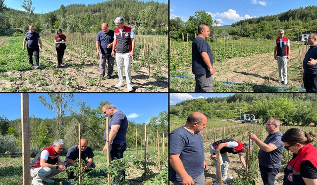 SAFRANBOLU’DA KARTOPU YEM KARPUZU İLK KEZ EKİLECEK