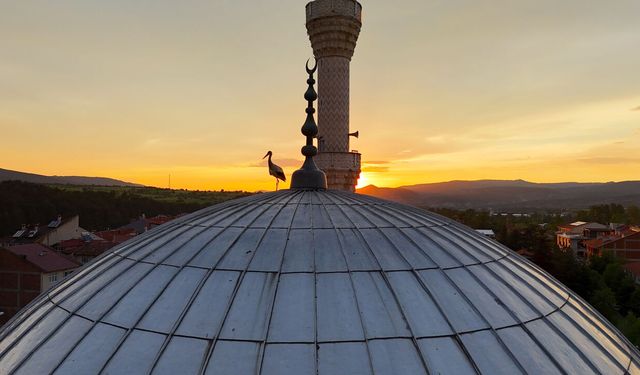 LEYLEKLER GÜN BATIMINI CAMİ KUBBESİNDE KARŞILADI