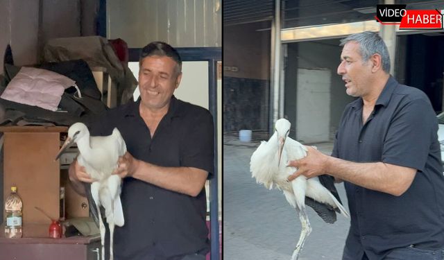 KARABÜK'TE UÇAMAYAN LEYLEK OTO YIKAMAYA SIĞINDI