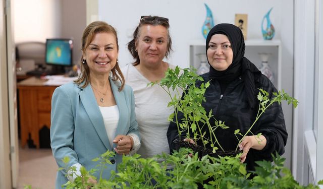 ORGANİK ATA TOHUMU FİDELERİ SAKEM KURSİYERLERİNE DAĞITILDI