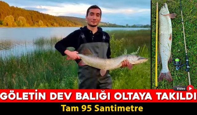 EFLANİ'DE GÖLETİN DEV BALIĞI OLTAYA TAKILDI "TAM 95 SANTİMETRE"