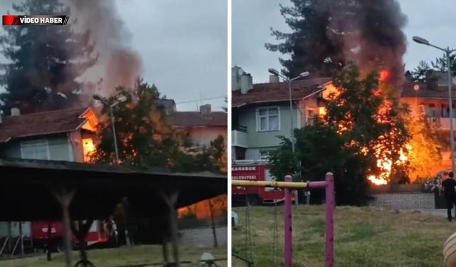 ARDİYEDE ÇIKAN YANGIN EVLERE SIÇRAMADAN SÖNDÜRÜLDÜ