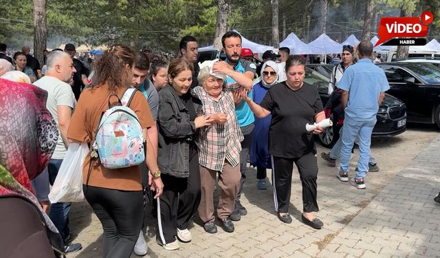 ŞENLİKTE BAŞINA DAL DÜŞEN KADIN YARALANDI