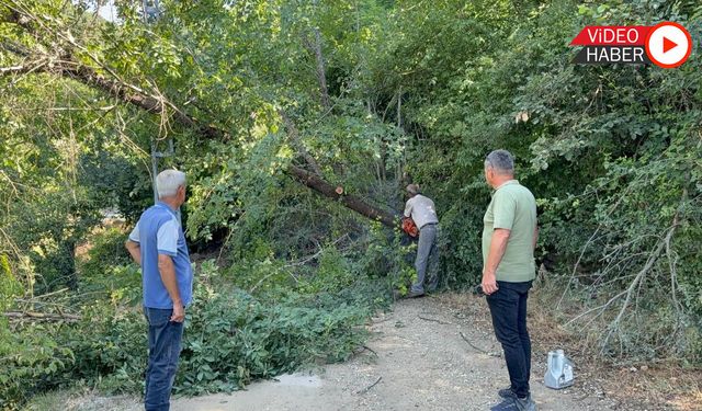 KAPULU-BAŞKÖY YOLUNDA HEYELAN