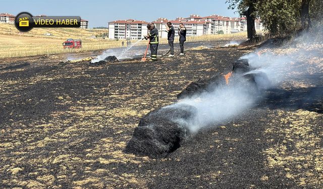 KARABÜK'TE ANIZ YANGINI KORKUTTU