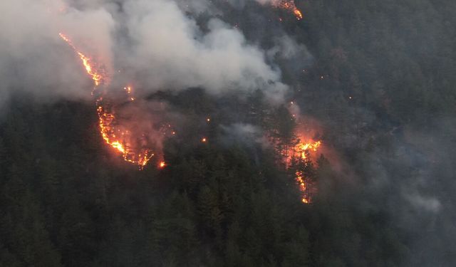 KASTAMONU'DA ORMAN YANGINI KONTROL ALTINA ALINDI