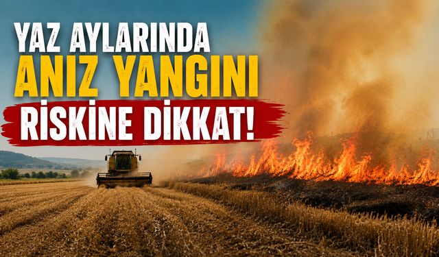 YAZ AYLARINDA ANIZ YANGINI RİSKİNE DİKKAT!