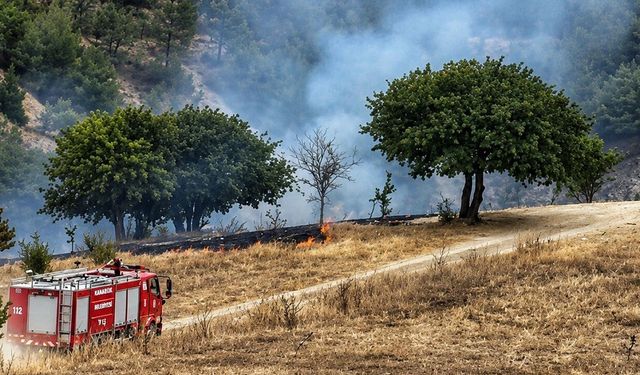 ANIZ YANGINI ORMANLIK ALANA SIÇRAMADAN SÖNDÜRÜLDÜ