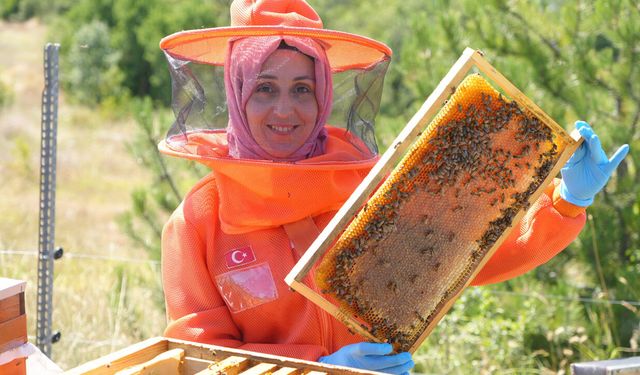 HOBİ OLARAK BAŞLADI, ARICILIĞI MESLEĞE DÖNÜŞTÜRDÜ