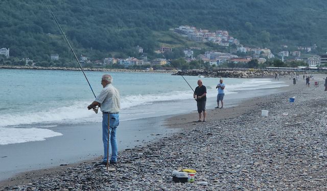 KARADENİZ'DE BALIK BOLLUĞU YAŞANIYOR