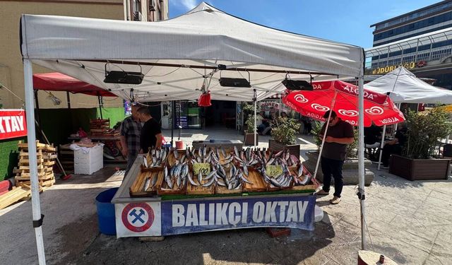 ZONGULDAK’TA PALAMUT TEZGAHA İNDİ: TANESİ 100 LİRA