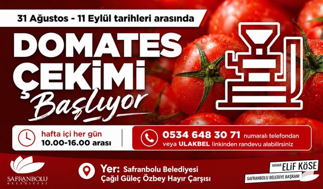 SAFRANBOLU'DA DOMATES ÇEKİMİ BAŞLIYOR