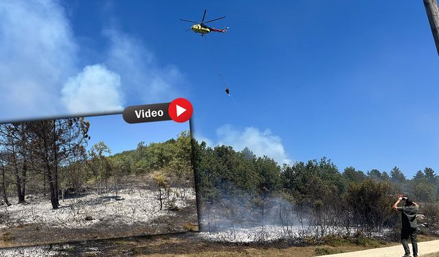 EFLANİ’DE KORKUTAN ORMAN YANGINI