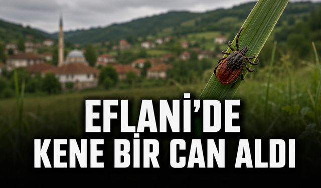 EFLANİ’DE KENE ISIRMASI SONUCU BİR KİŞİ HAYATINI KAYBETTİ