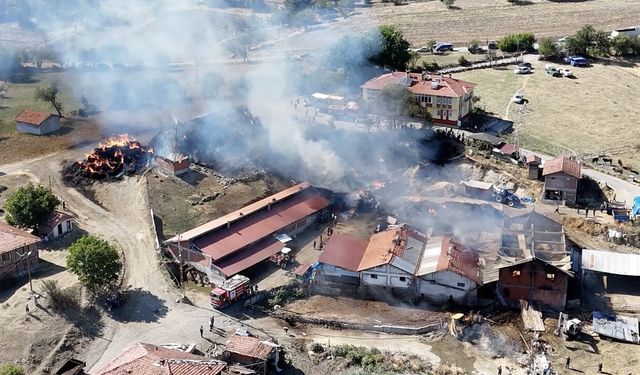 İHSANGAZİ'DE AHIR YANDI 14 BÜYÜKBAŞ HAYVAN TELEF OLDU