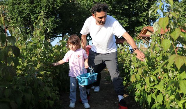 İSTEDİĞİN KADAR YE TOPLADIĞIN KADAR ÖDE